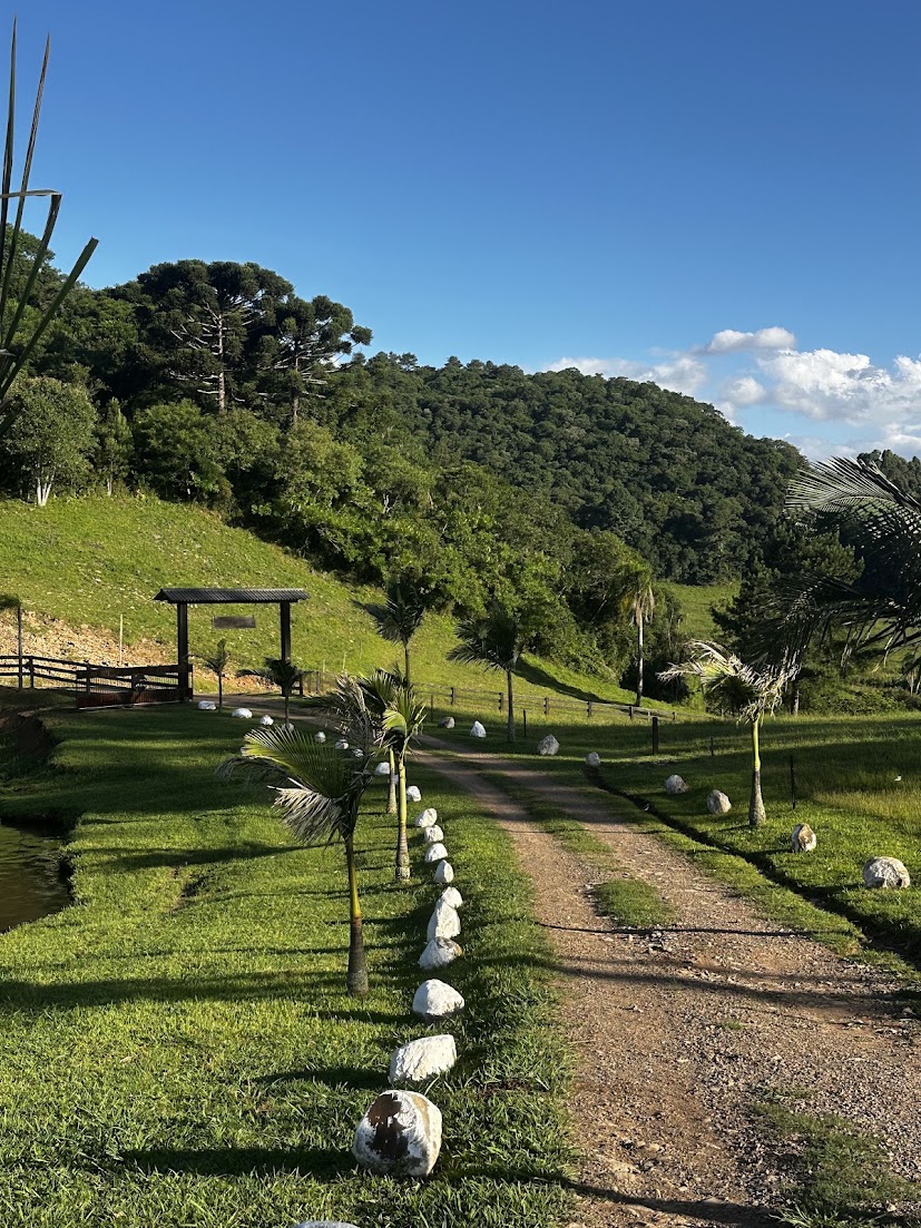 Estrada de entrada do sítio